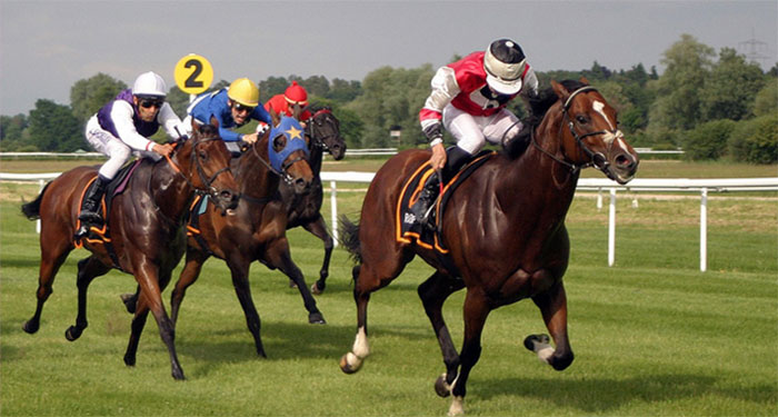 Ladies Day